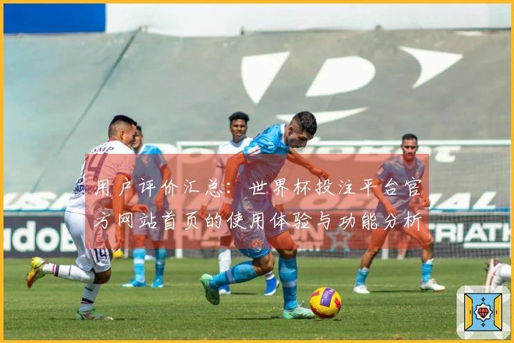 用户评价汇总：世界杯投注平台官方网站首页的使用体验与功能分析