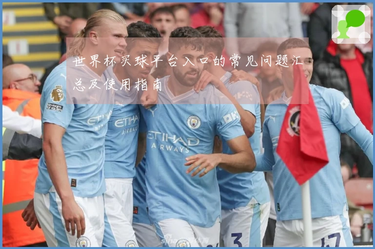 世界杯买球平台入口的常见问题汇总及使用指南