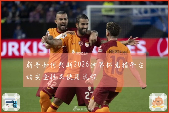 新手如何判断2026世界杯竞猜平台的安全性及使用流程