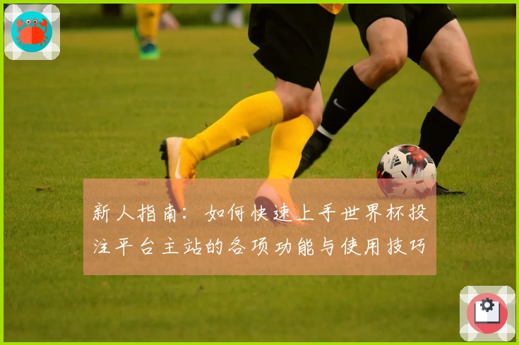 新人指南：如何快速上手世界杯投注平台主站的各项功能与使用技巧