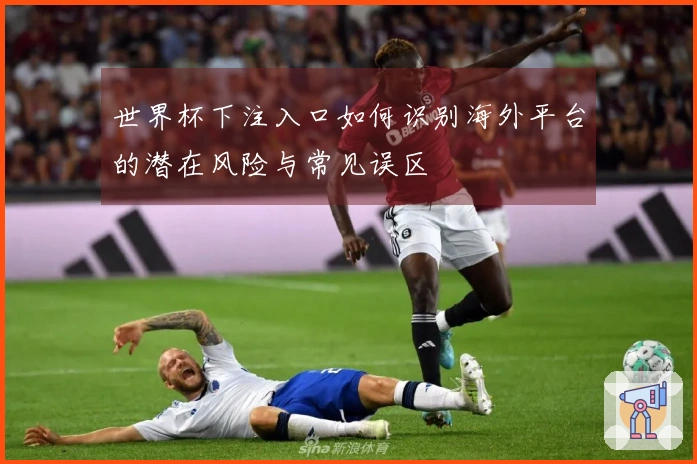 世界杯下注入口如何识别海外平台的潜在风险与常见误区