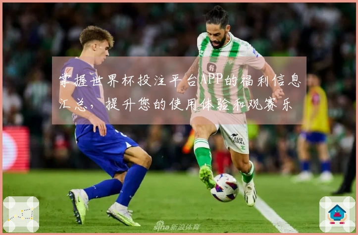 掌握世界杯投注平台APP的福利信息汇总，提升您的使用体验和观赛乐趣