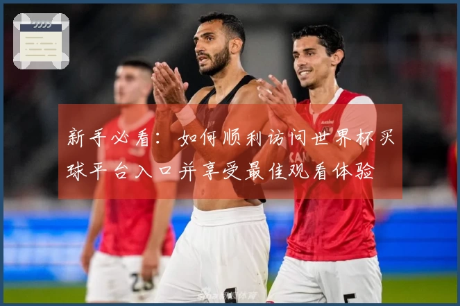 新手必看：如何顺利访问世界杯买球平台入口并享受最佳观看体验