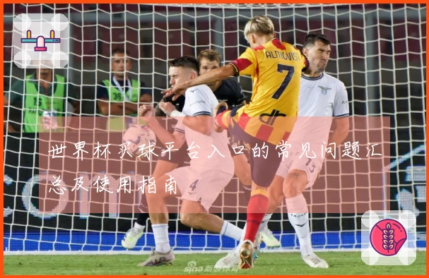 世界杯买球平台入口的常见问题汇总及使用指南