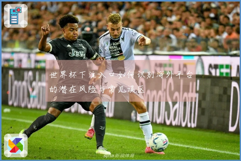世界杯下注入口如何识别海外平台的潜在风险与常见误区