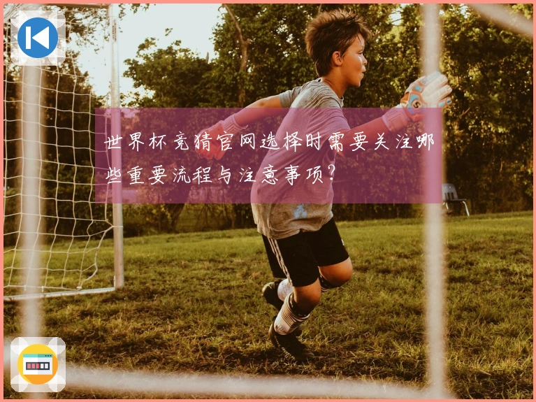 世界杯竞猜官网选择时需要关注哪些重要流程与注意事项？