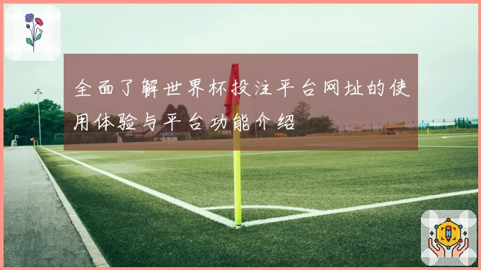 全面了解世界杯投注平台网址的使用体验与平台功能介绍