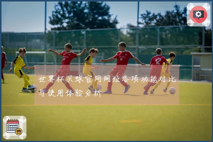 世界杯买球官网网址各项功能对比与使用体验分析