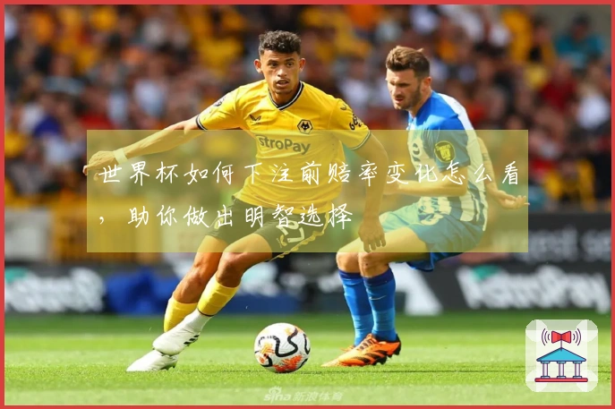 世界杯如何下注前赔率变化怎么看，助你做出明智选择