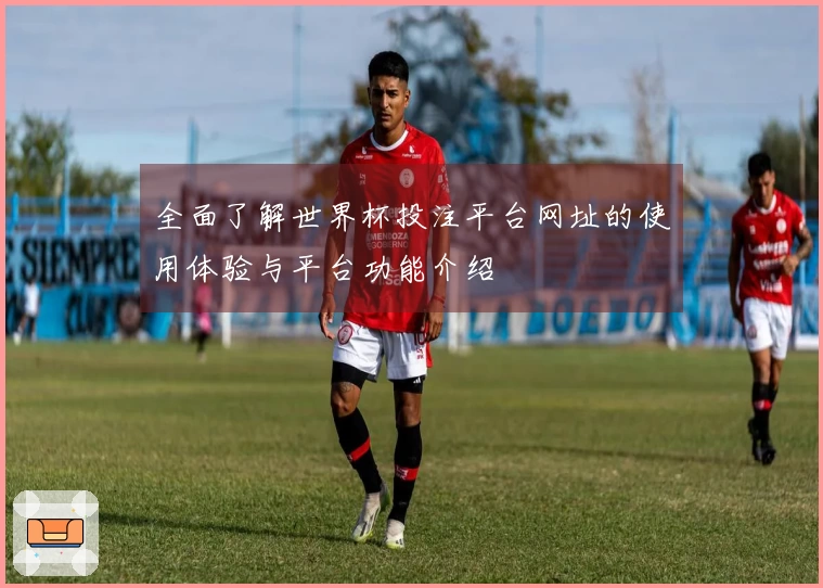 全面了解世界杯投注平台网址的使用体验与平台功能介绍