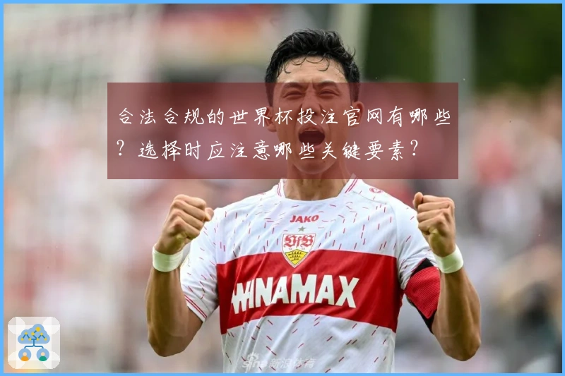 合法合规的世界杯投注官网有哪些?选择时应注意哪些关键要素?