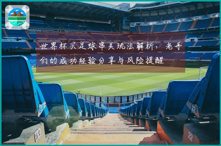 世界杯买足球串关玩法解析，老手们的成功经验分享与风险提醒