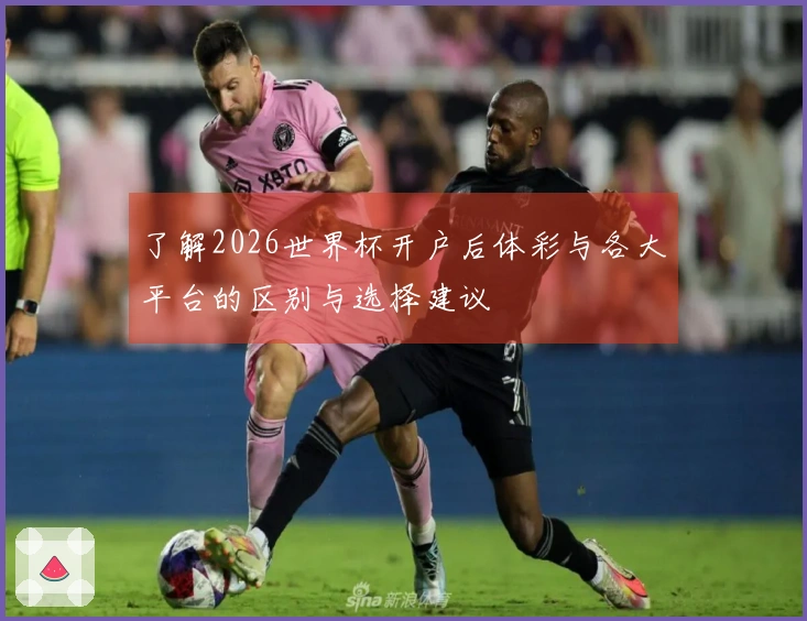 了解2026世界杯开户后体彩与各大平台的区别与选择建议