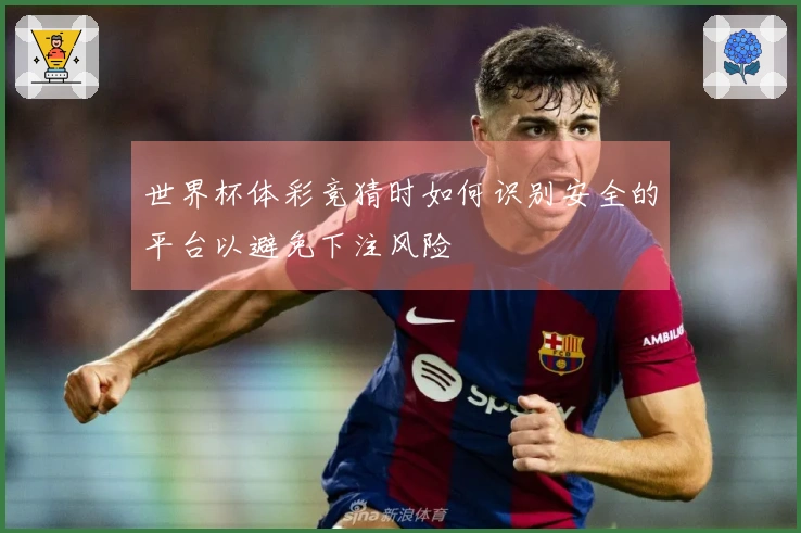 世界杯体彩竞猜时如何识别安全的平台以避免下注风险