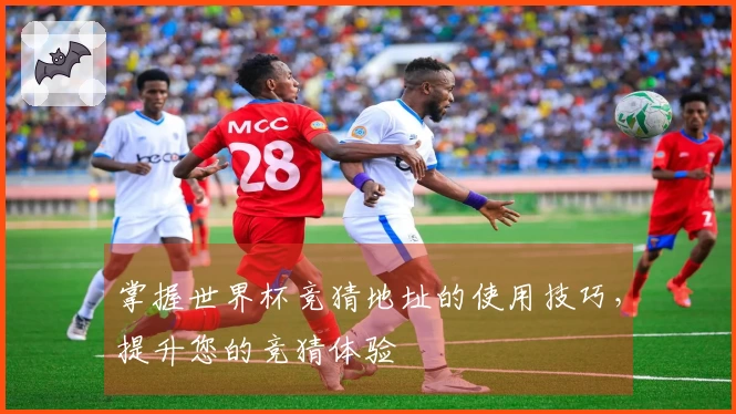 掌握世界杯竞猜地址的使用技巧，提升您的竞猜体验