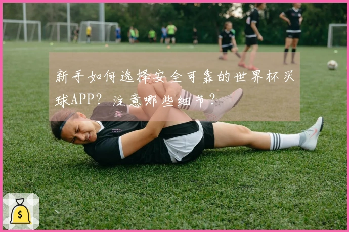 新手如何选择安全可靠的世界杯买球APP？注意哪些细节？