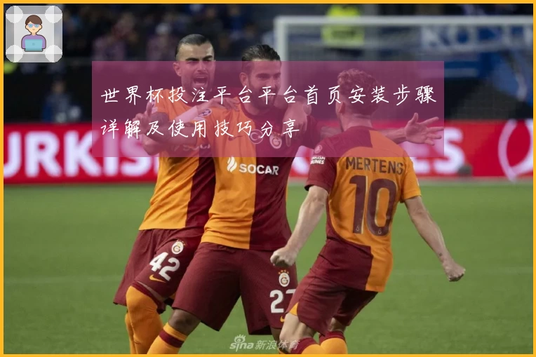 世界杯投注平台平台首页安装步骤详解及使用技巧分享